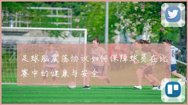 足球脑震荡协议如何保障球员在比赛中的健康与安全