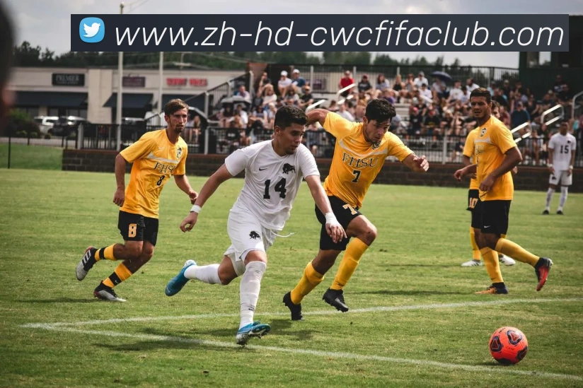 多媒体互动体验