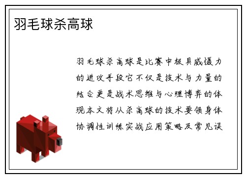 羽毛球杀高球