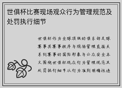 世俱杯比赛现场观众行为管理规范及处罚执行细节